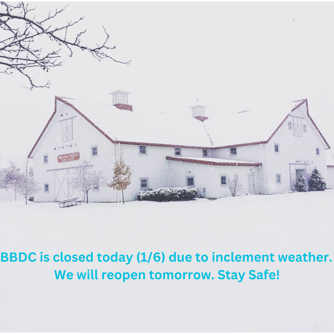 BBDC is closed today due to inclement weather. We will reopen tomorrow 1/7/25